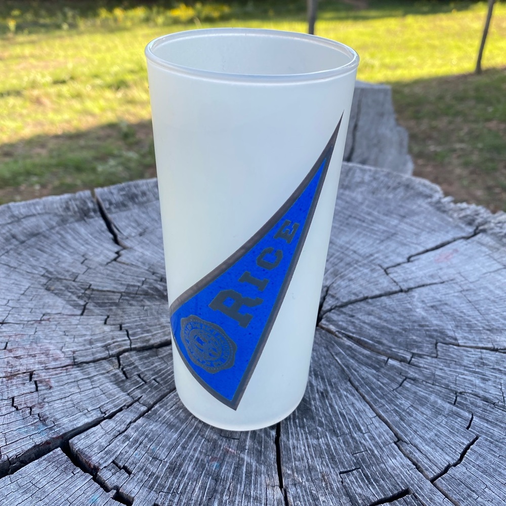 Vintage 1960 Rice Owls Frosted Pennant Glass